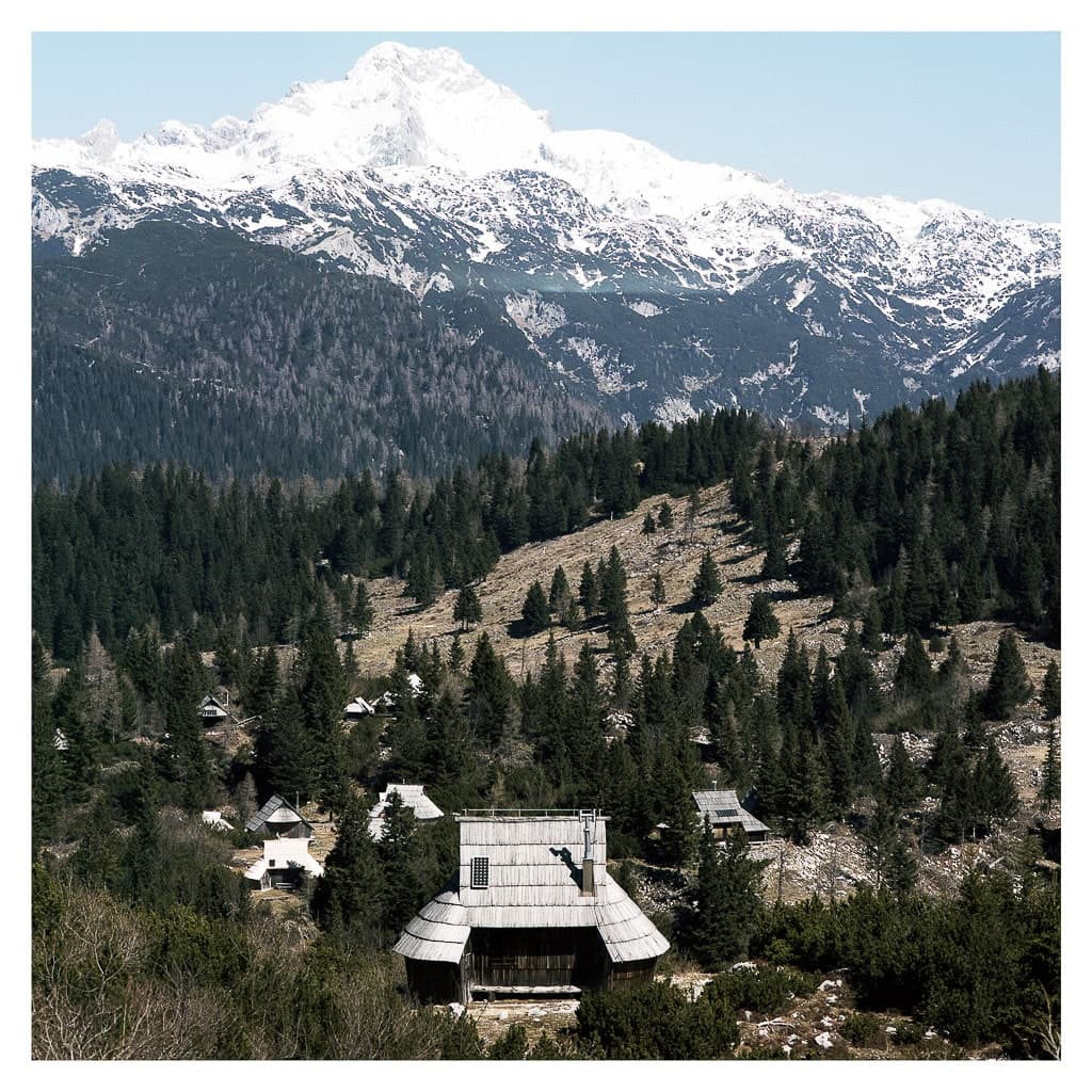 Analóg felvételel - color – 150. kép – Fülöp Péter fotográfus