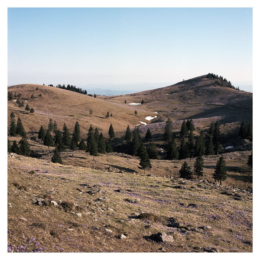 Analóg felvételel - color – 154. kép – Fülöp Péter fotográfus