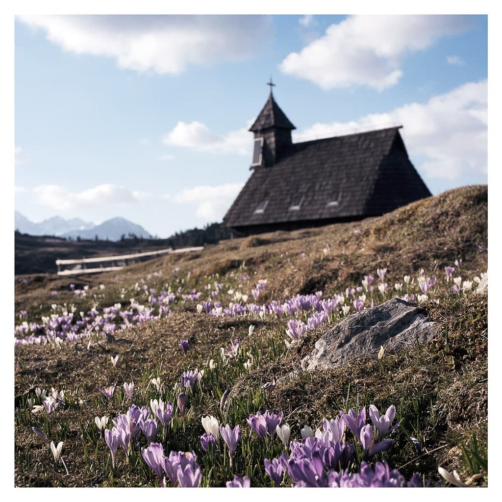 Analóg felvételel - color – 155. kép – Fülöp Péter fotográfus