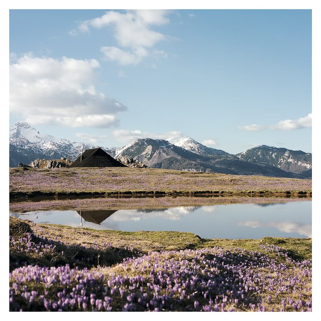 Analóg felvételel - color – 156. kép – Fülöp Péter fotográfus