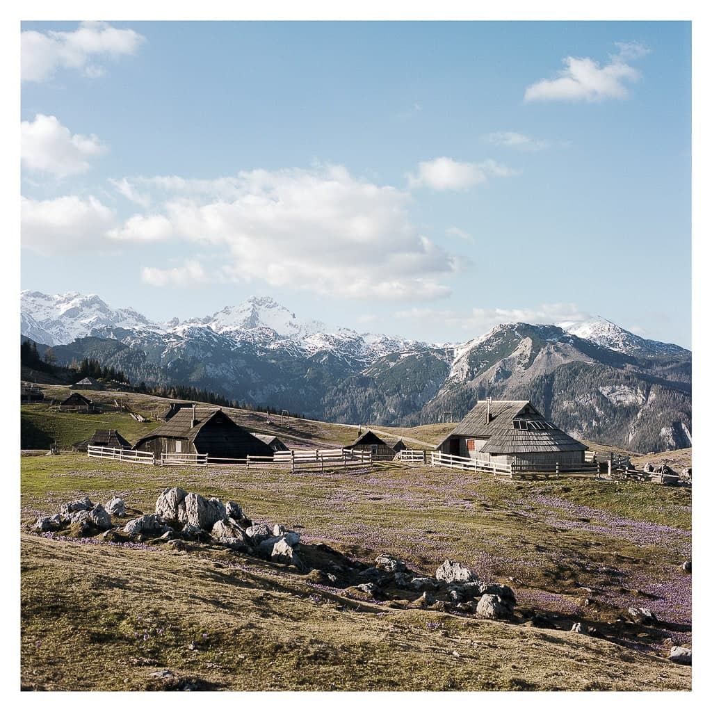 Analóg felvételel - color – 157. kép – Fülöp Péter fotográfus