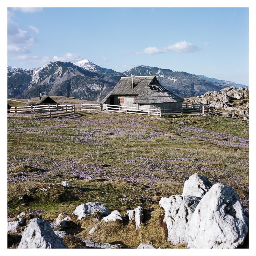 Analóg felvételel - color – 158. kép – Fülöp Péter fotográfus