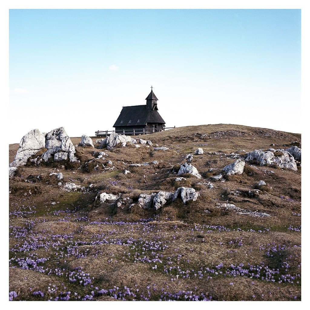 Analóg felvételel - color – 159. kép – Fülöp Péter fotográfus