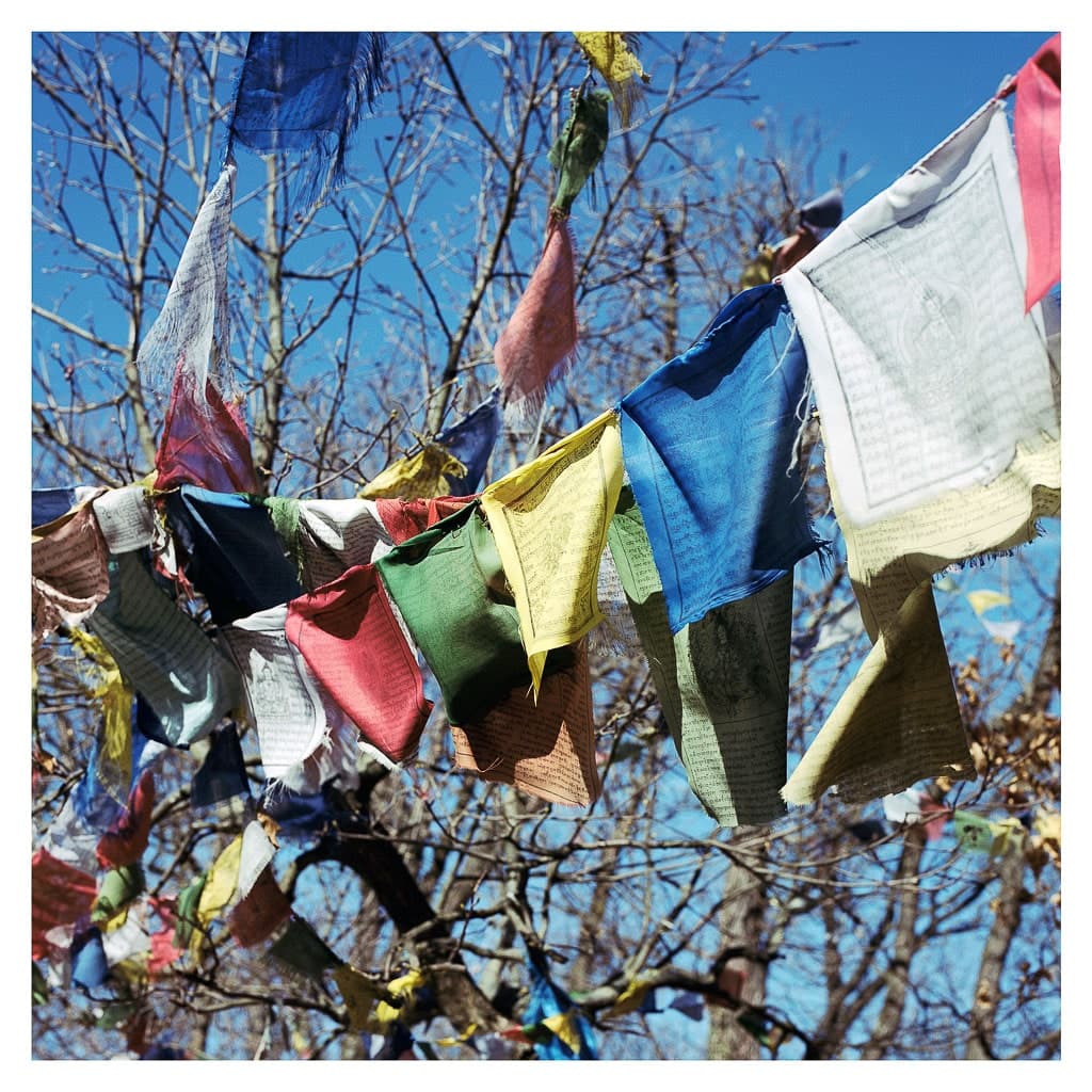 Analóg felvételel - color – 160. kép – Fülöp Péter fotográfus