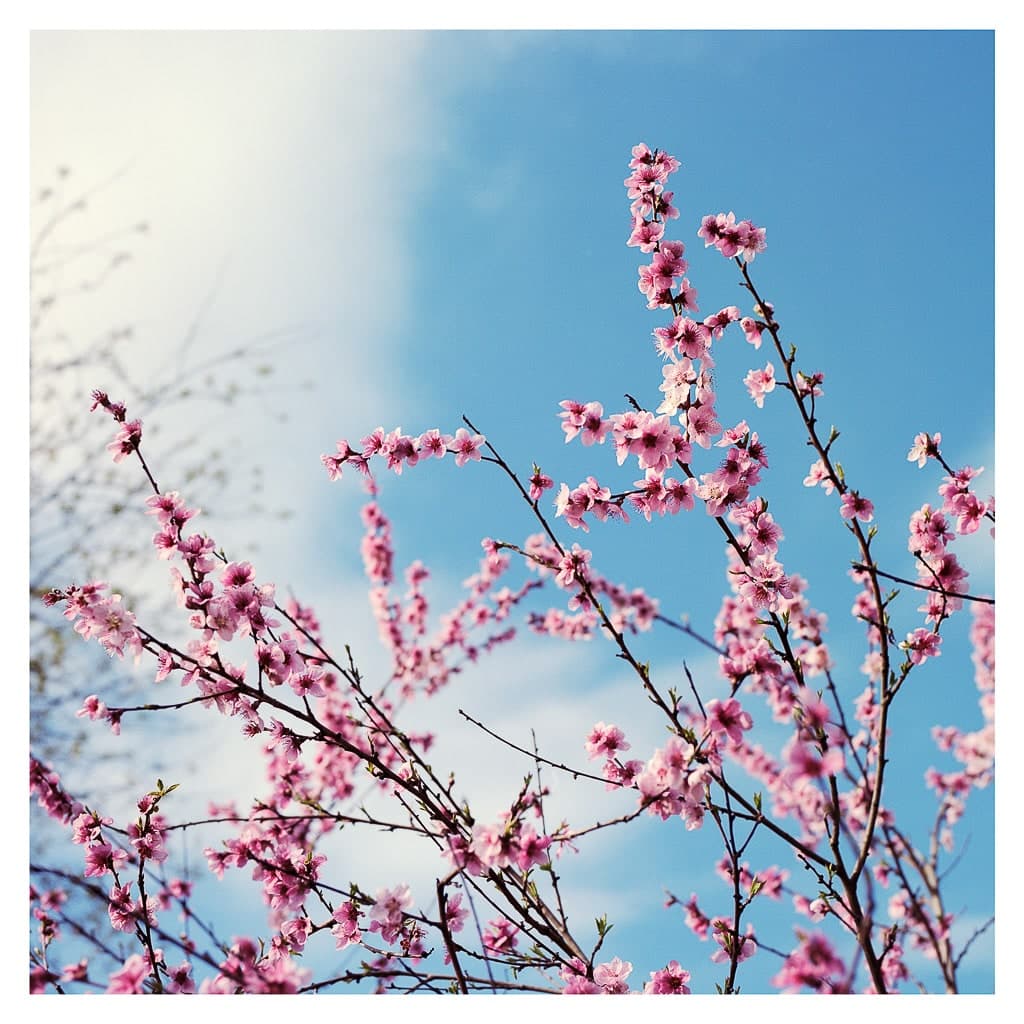 Analóg felvételel - color – 165. kép – Fülöp Péter fotográfus