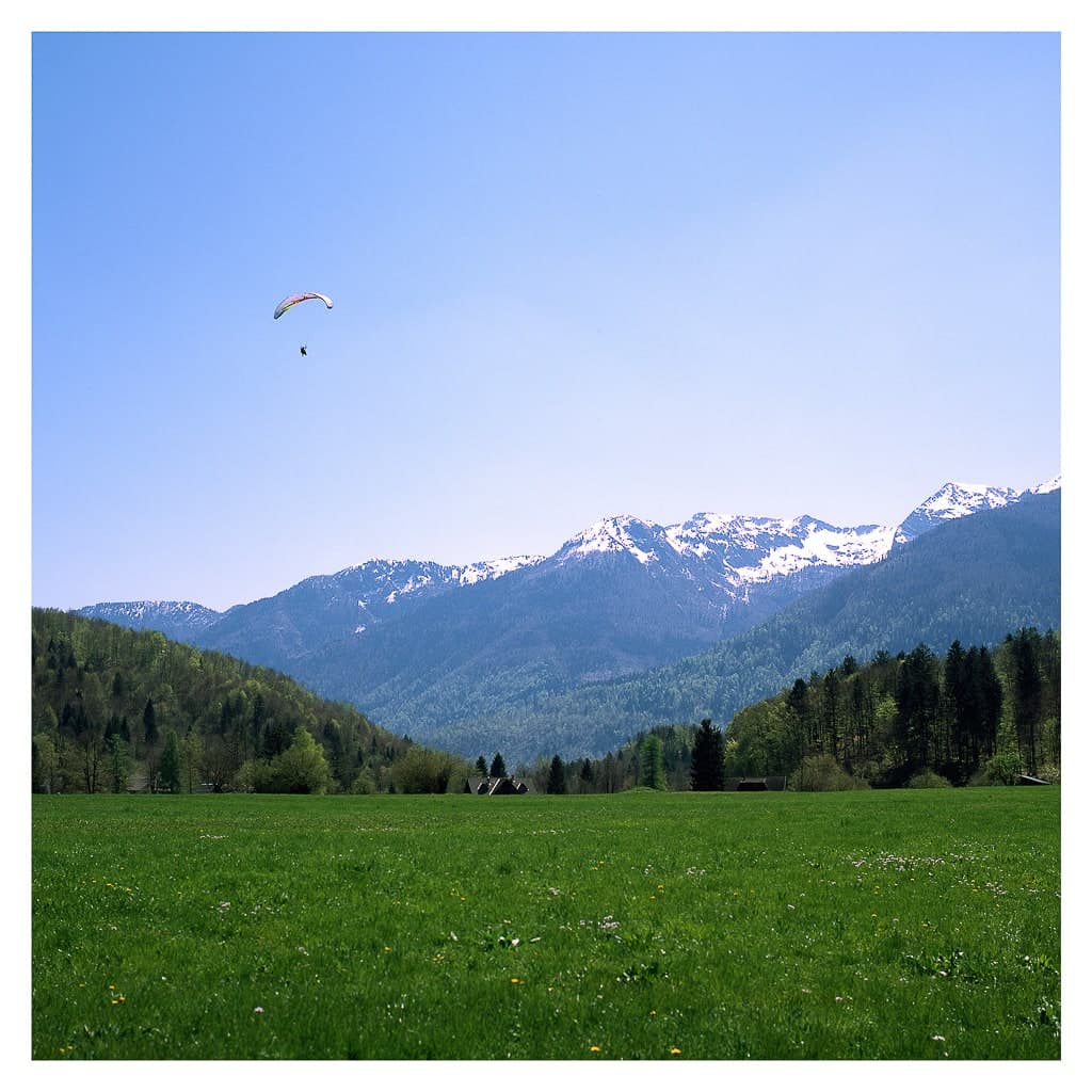 Analóg felvételel - color – 171. kép – Fülöp Péter fotográfus