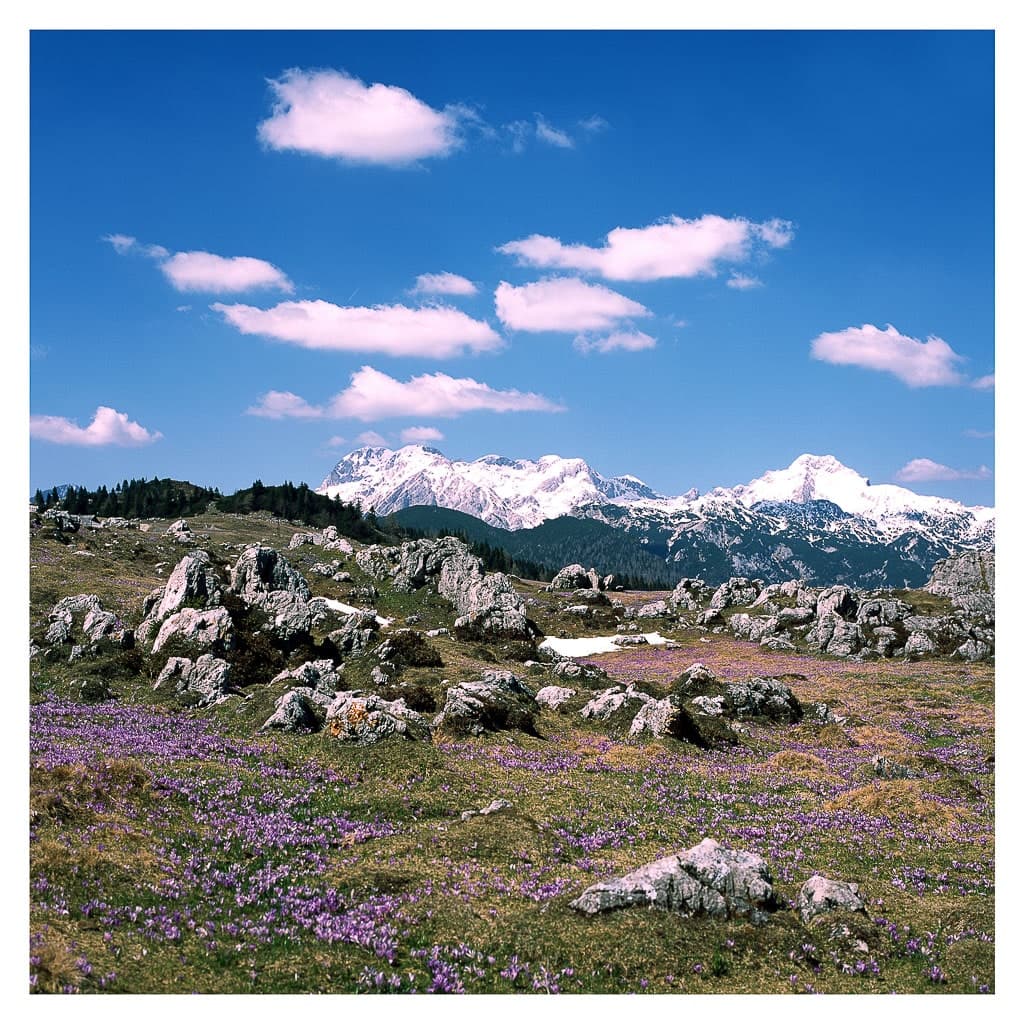 Analóg felvételel - color – 172. kép – Fülöp Péter fotográfus