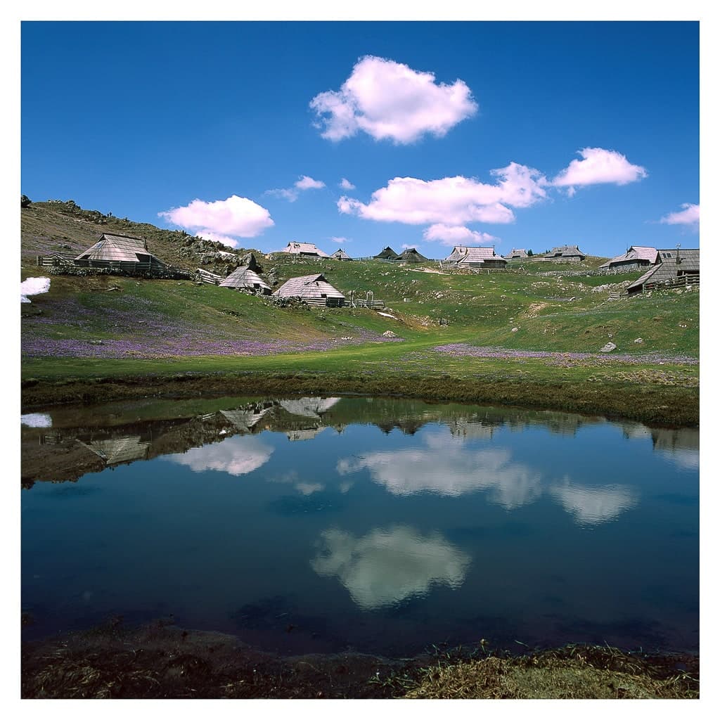 Analóg felvételel - color – 173. kép – Fülöp Péter fotográfus