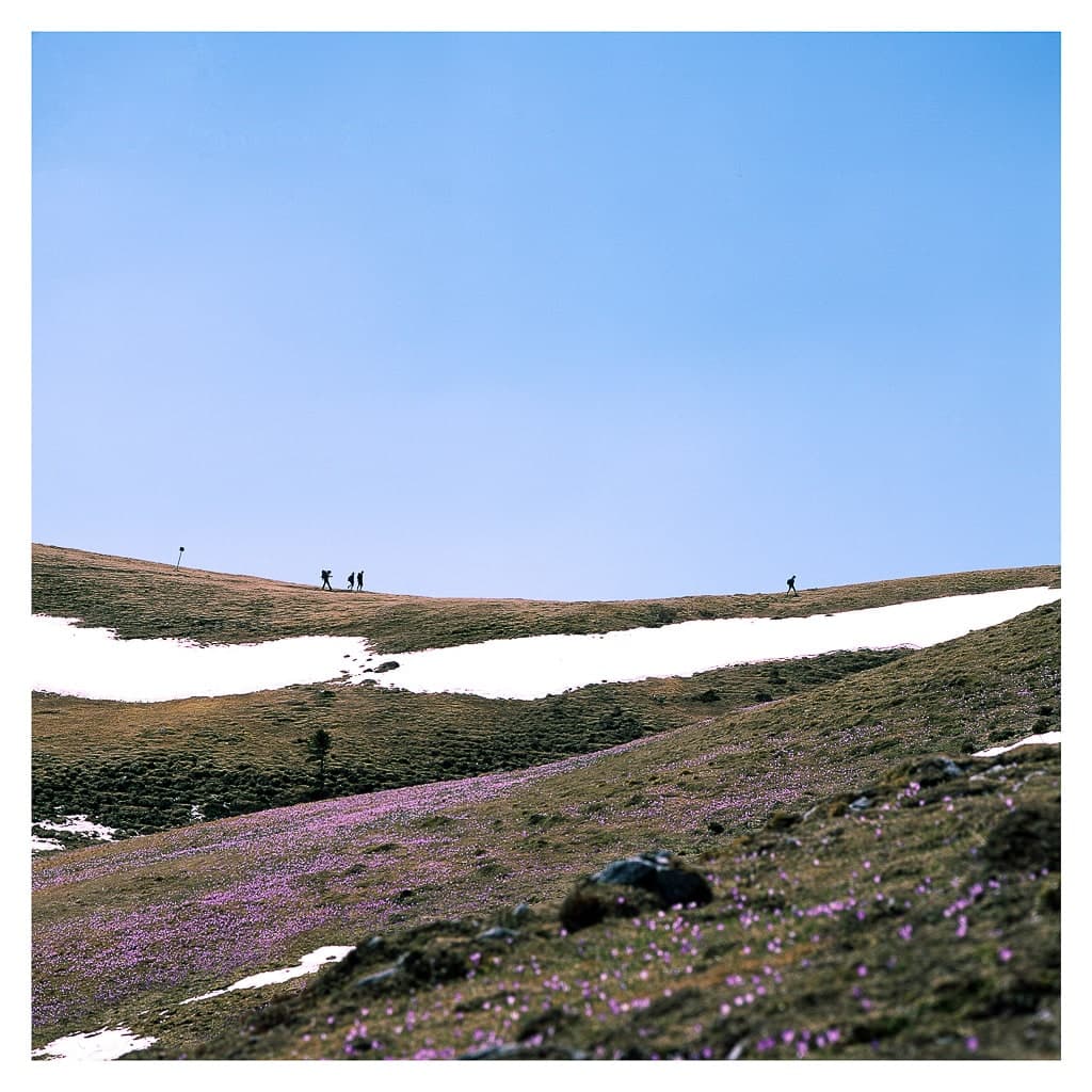 Analóg felvételel - color – 175. kép – Fülöp Péter fotográfus