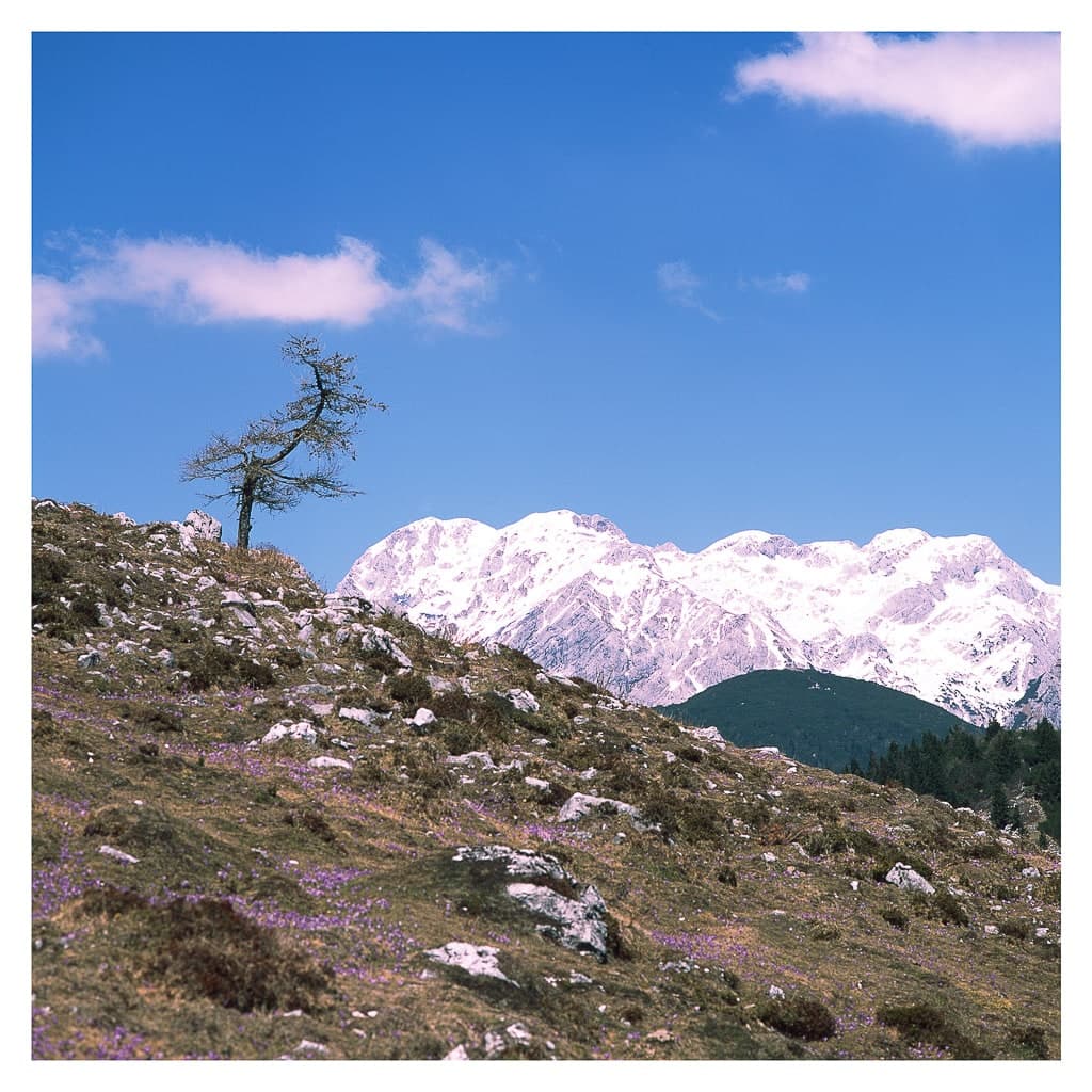 Analóg felvételel - color – 178. kép – Fülöp Péter fotográfus