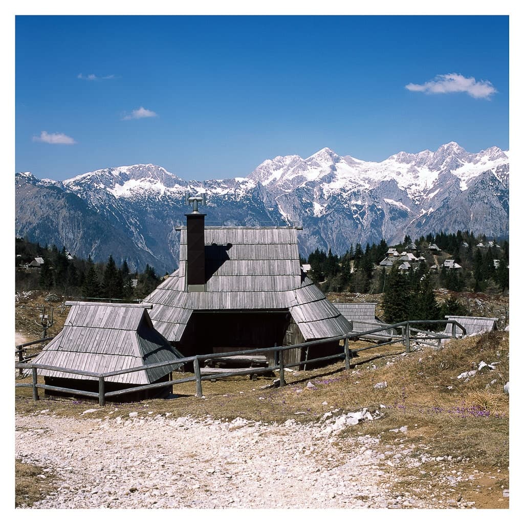 Analóg felvételel - color – 179. kép – Fülöp Péter fotográfus