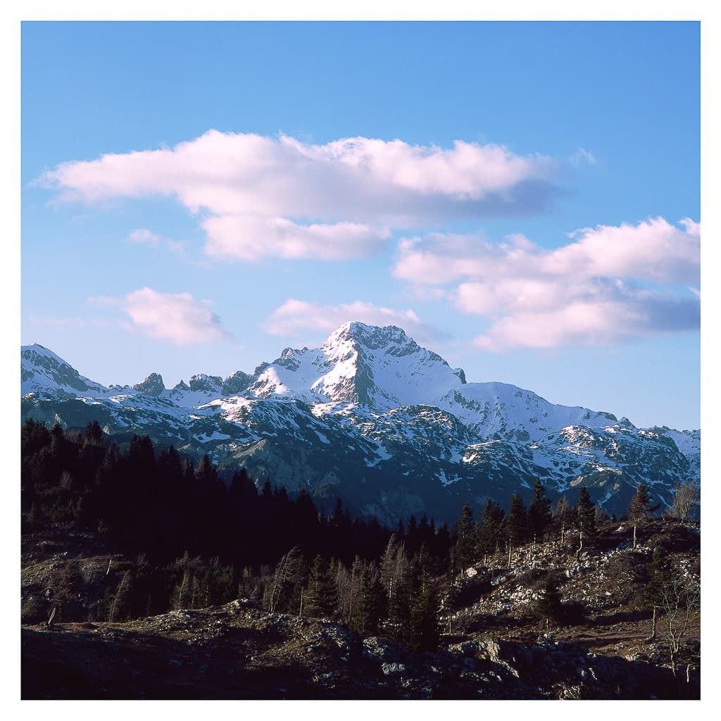 Analóg felvételel - color – 182. kép – Fülöp Péter fotográfus