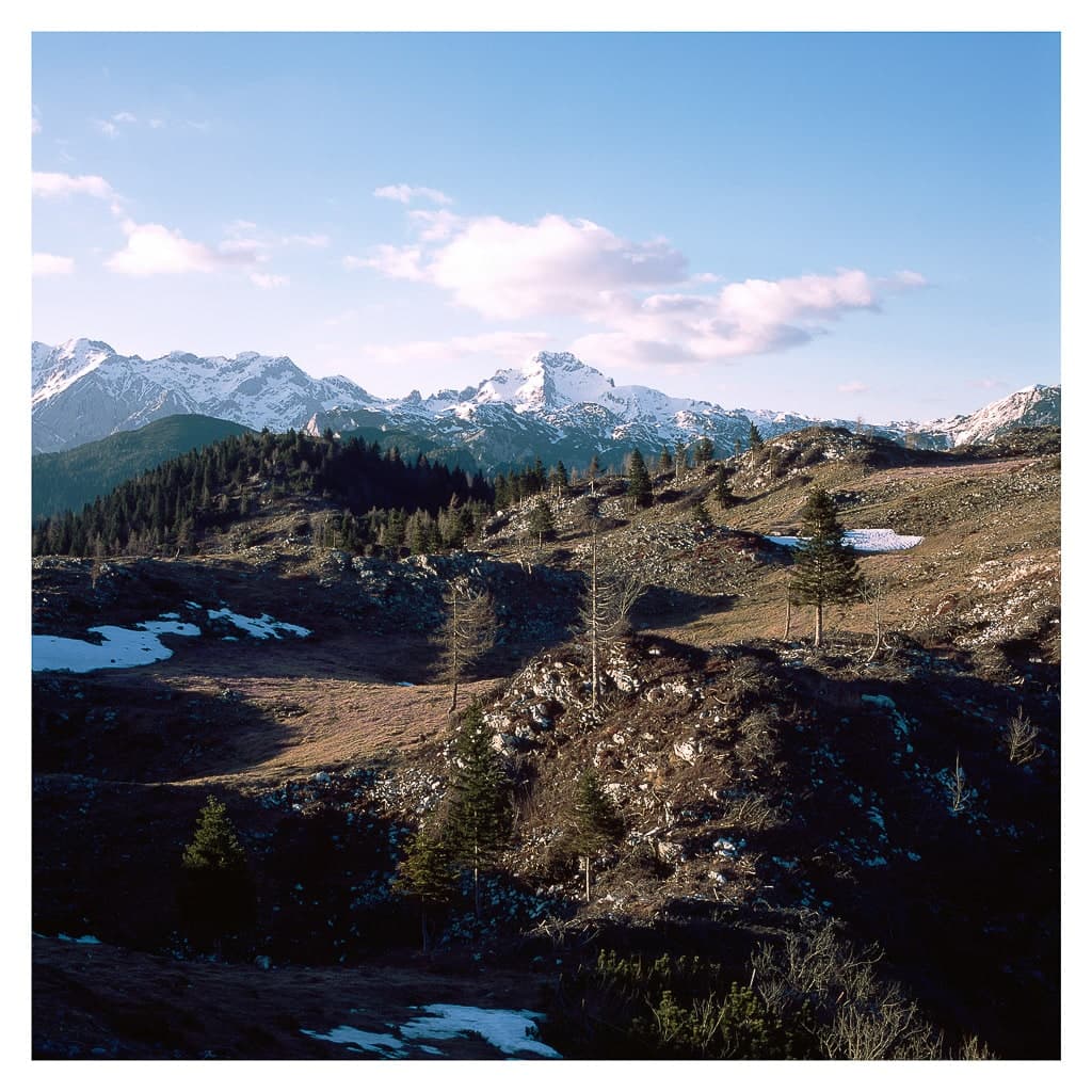 Analóg felvételel - color – 183. kép – Fülöp Péter fotográfus