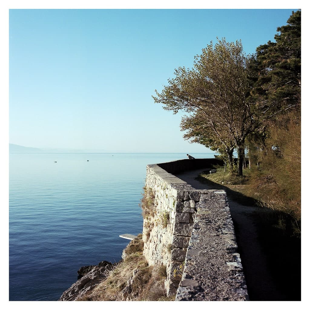 Analóg felvételel - color – 185. kép – Fülöp Péter fotográfus