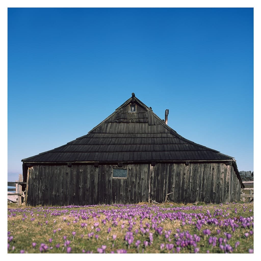 Analóg felvételel - color – 186. kép – Fülöp Péter fotográfus