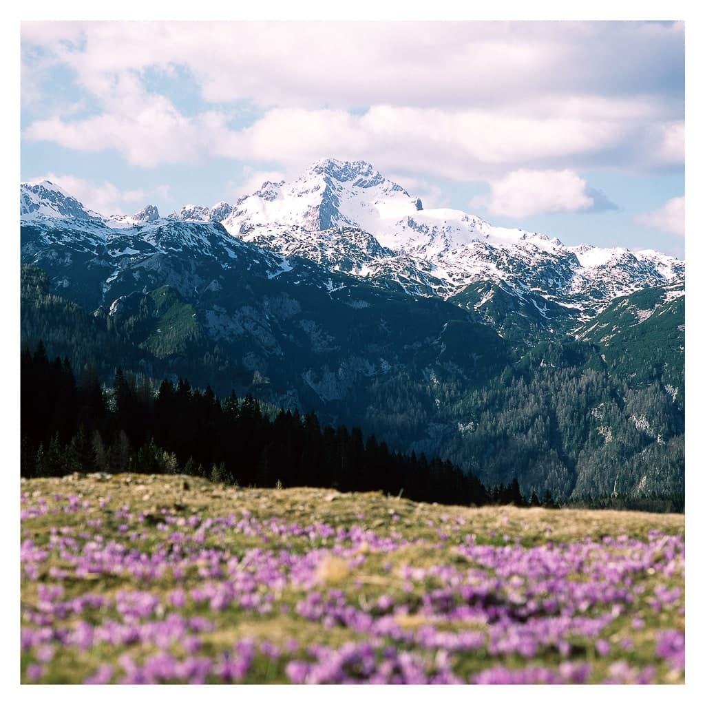 Analóg felvételel - color – 187. kép – Fülöp Péter fotográfus