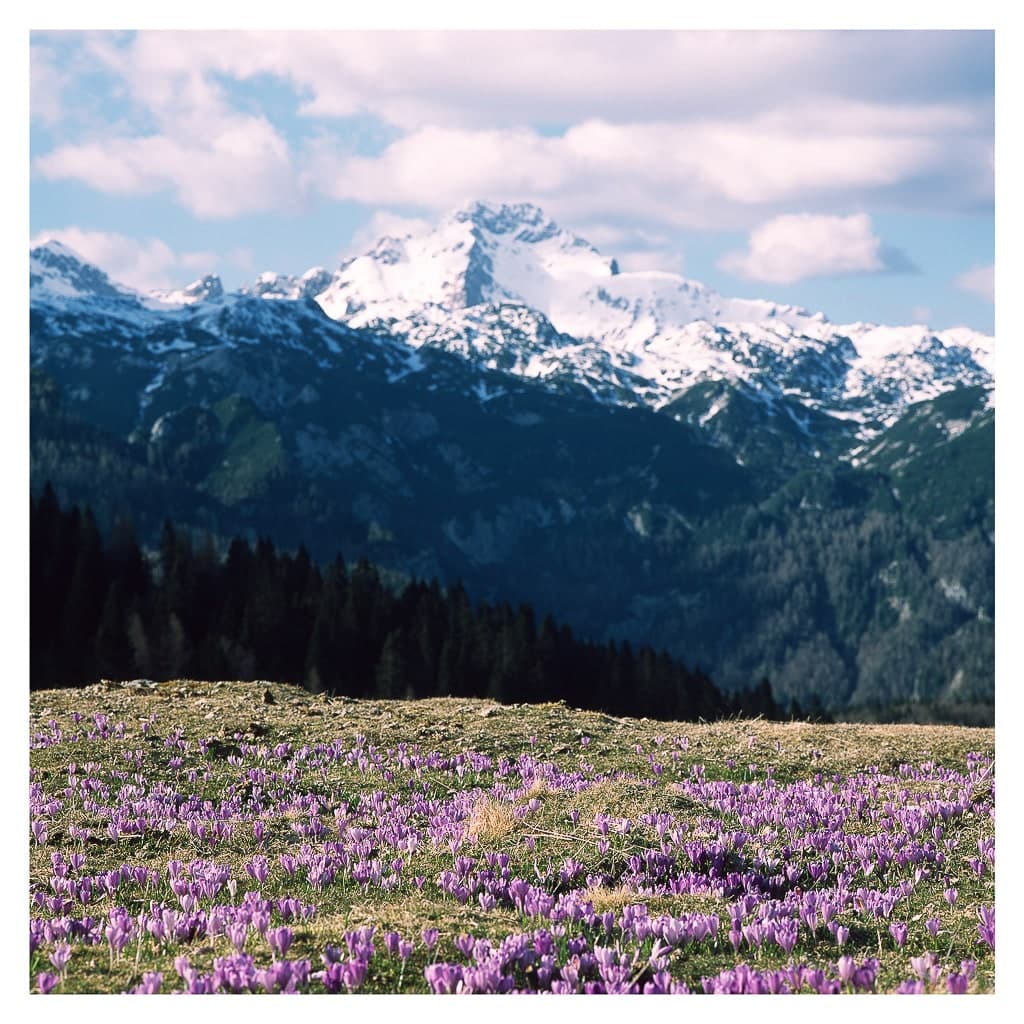 Analóg felvételel - color – 188. kép – Fülöp Péter fotográfus