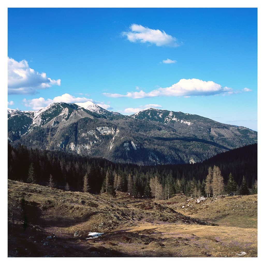 Analóg felvételel - color – 189. kép – Fülöp Péter fotográfus