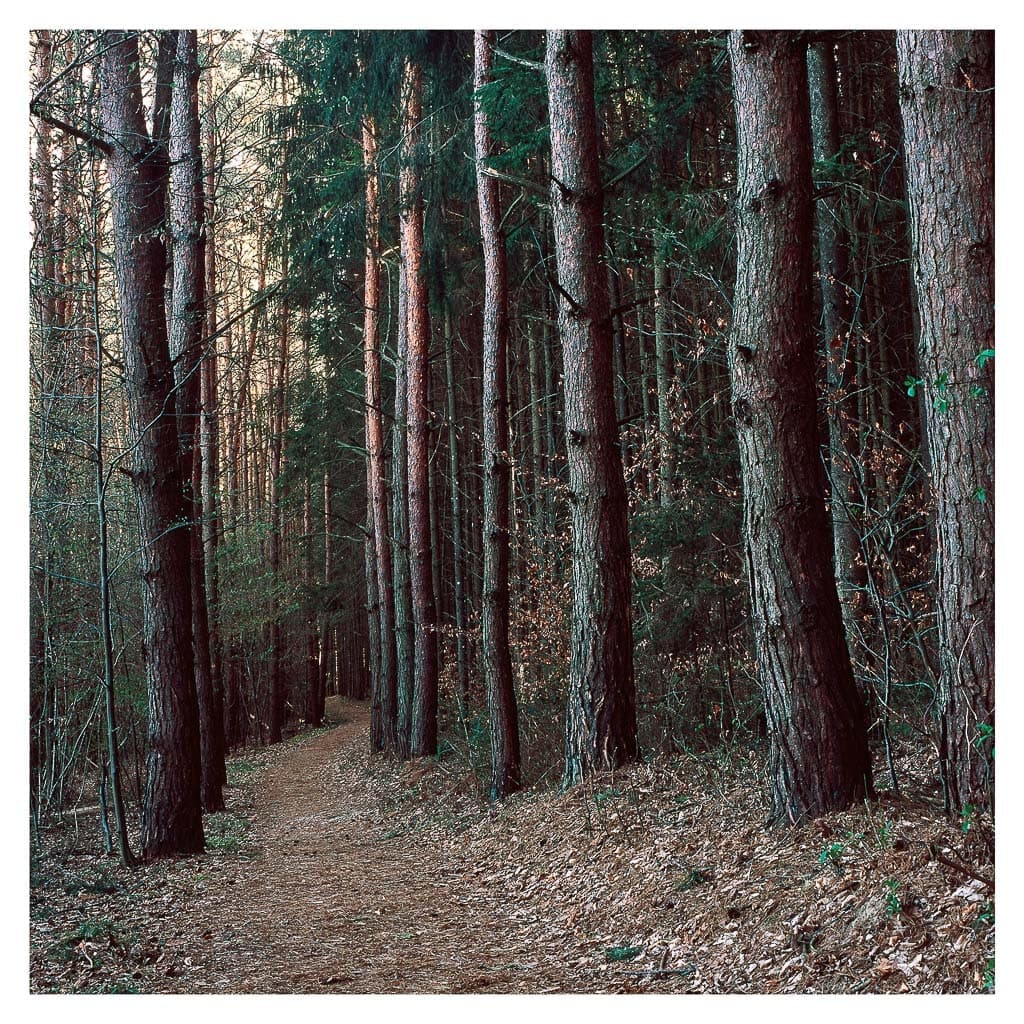 Analóg felvételel - color – 190. kép – Fülöp Péter fotográfus