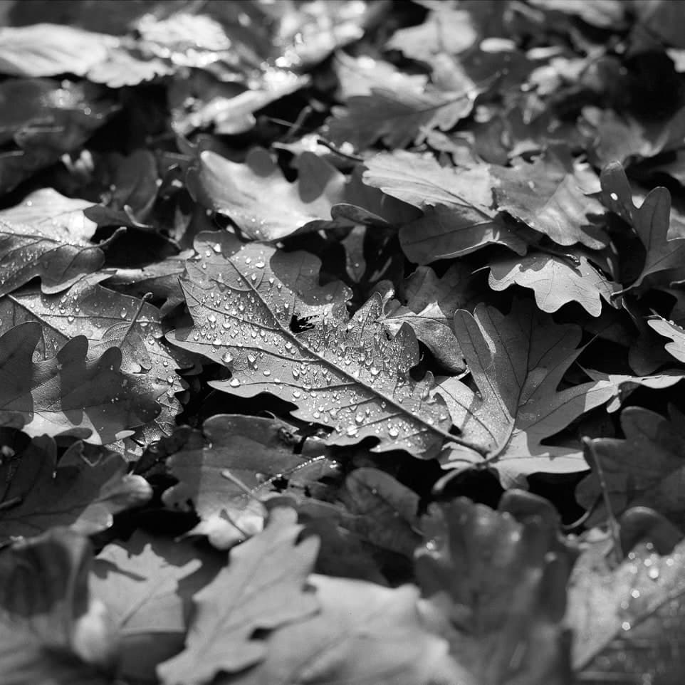 Assets – 19. kép – Fülöp Péter fotográfus