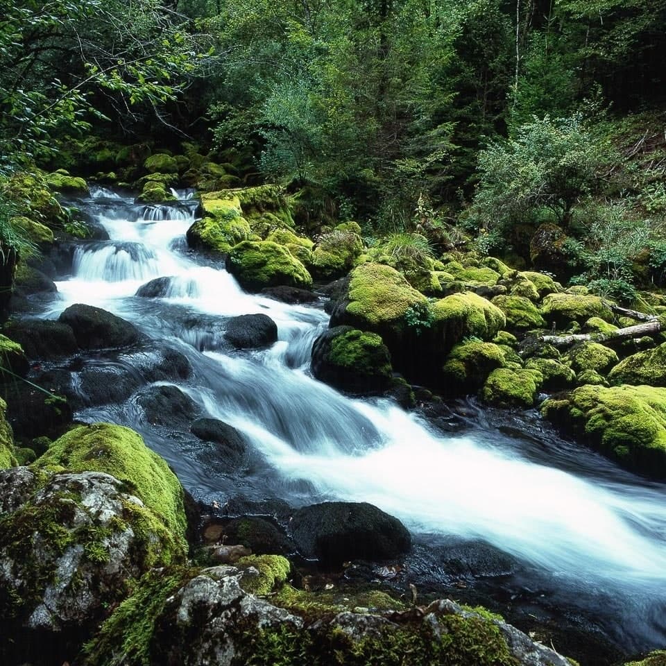 Assets – 20. kép – Fülöp Péter fotográfus