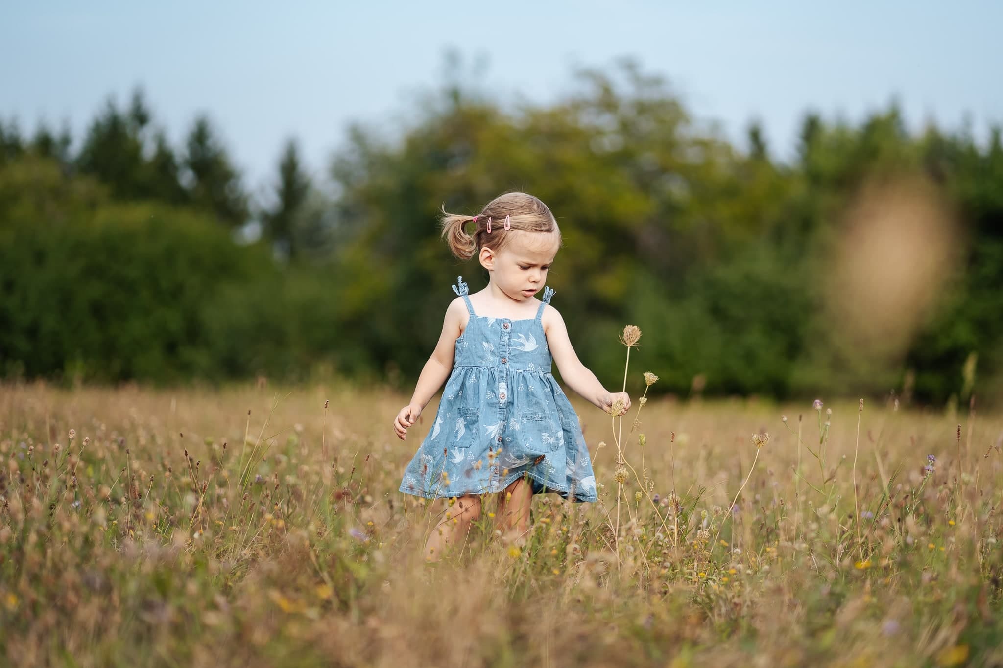 családi fotók – 51. kép – Fülöp Péter fotográfus