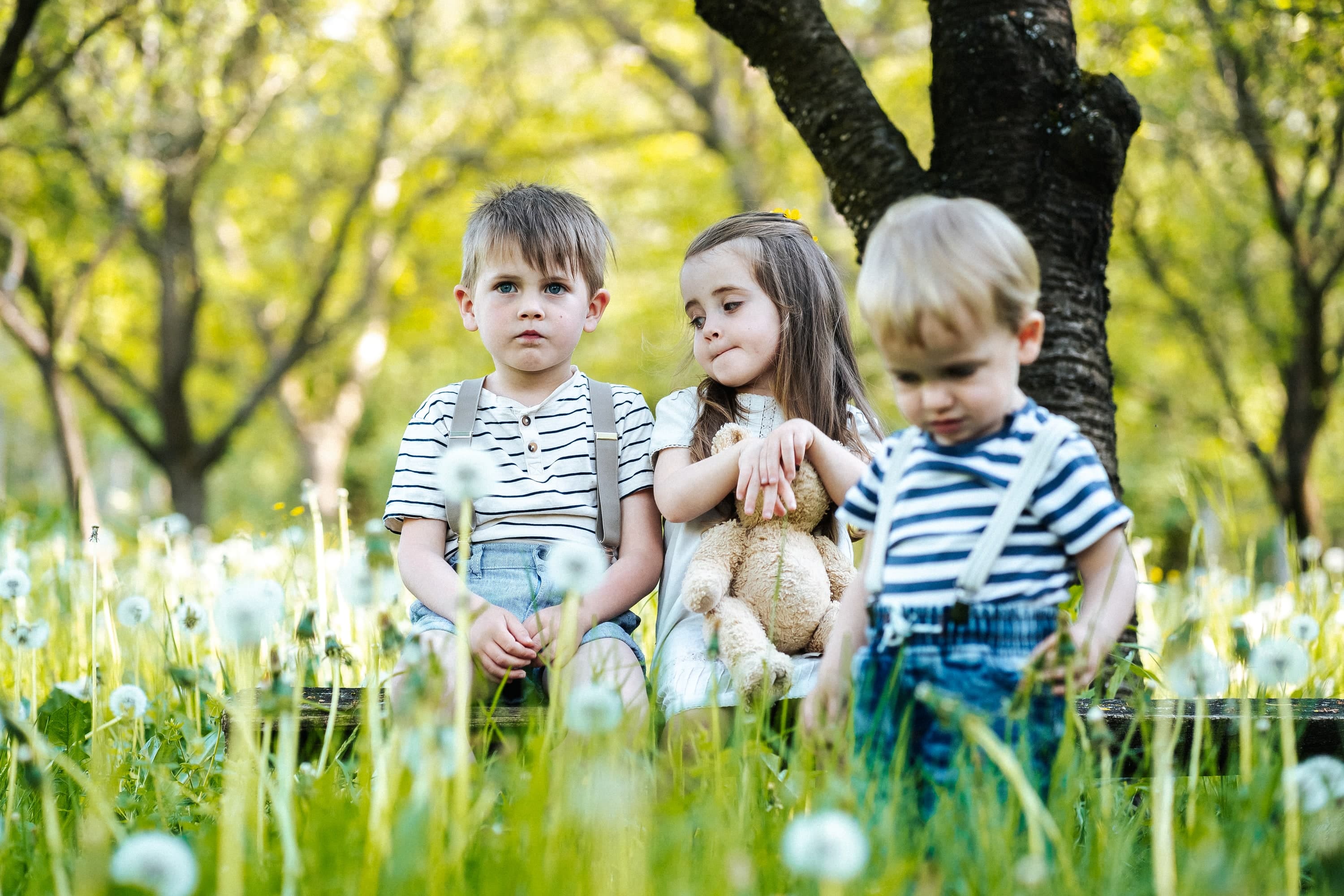 családi fotók – 76. kép – Fülöp Péter fotográfus