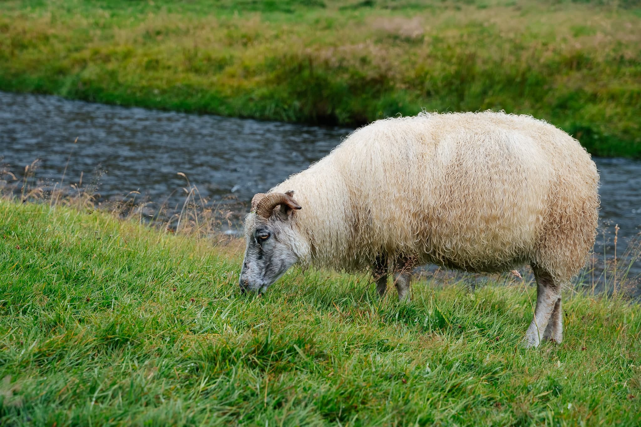Iceland – 57. kép – Fülöp Péter fotográfus