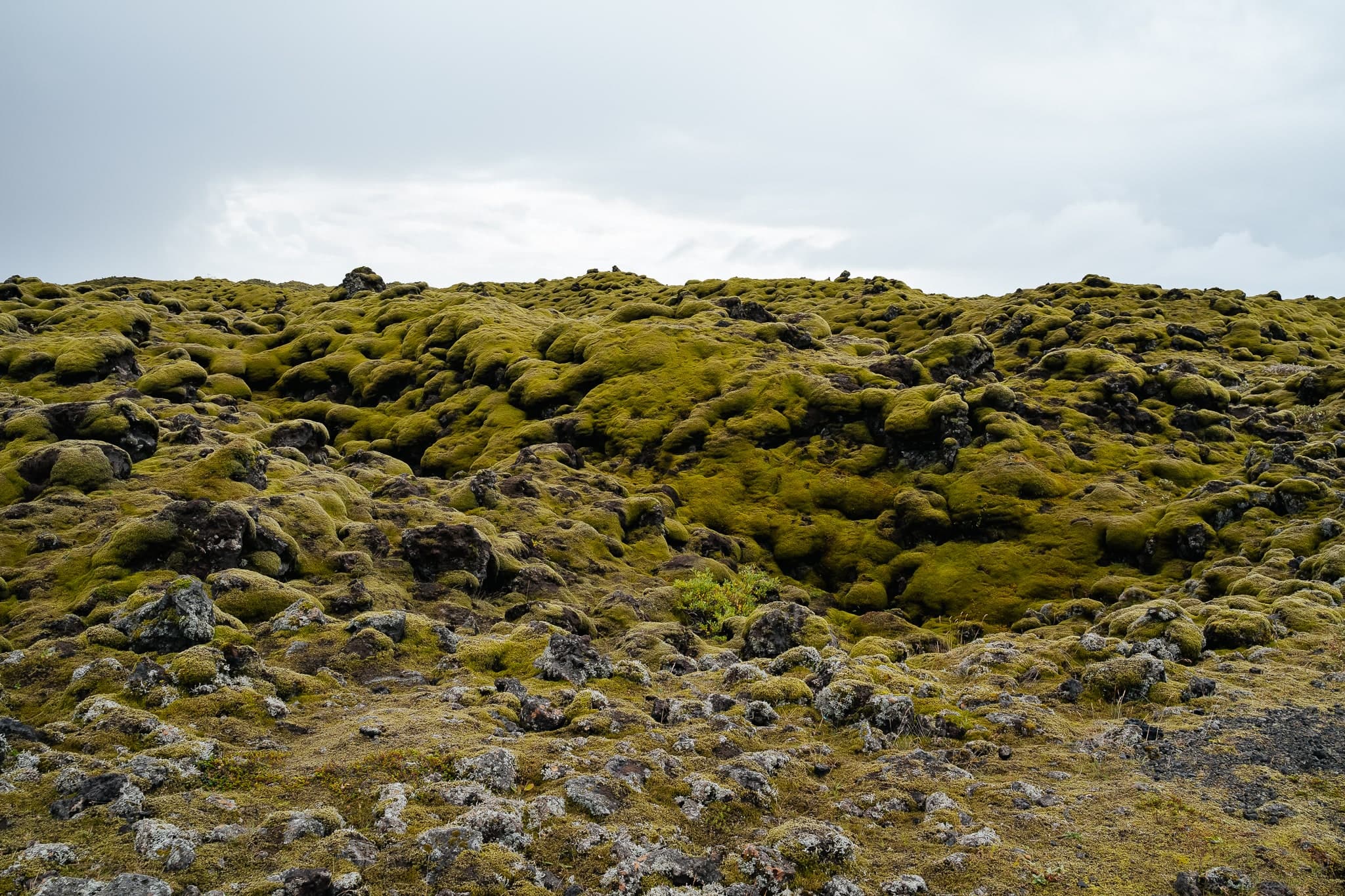 Iceland – 108. kép – Fülöp Péter fotográfus