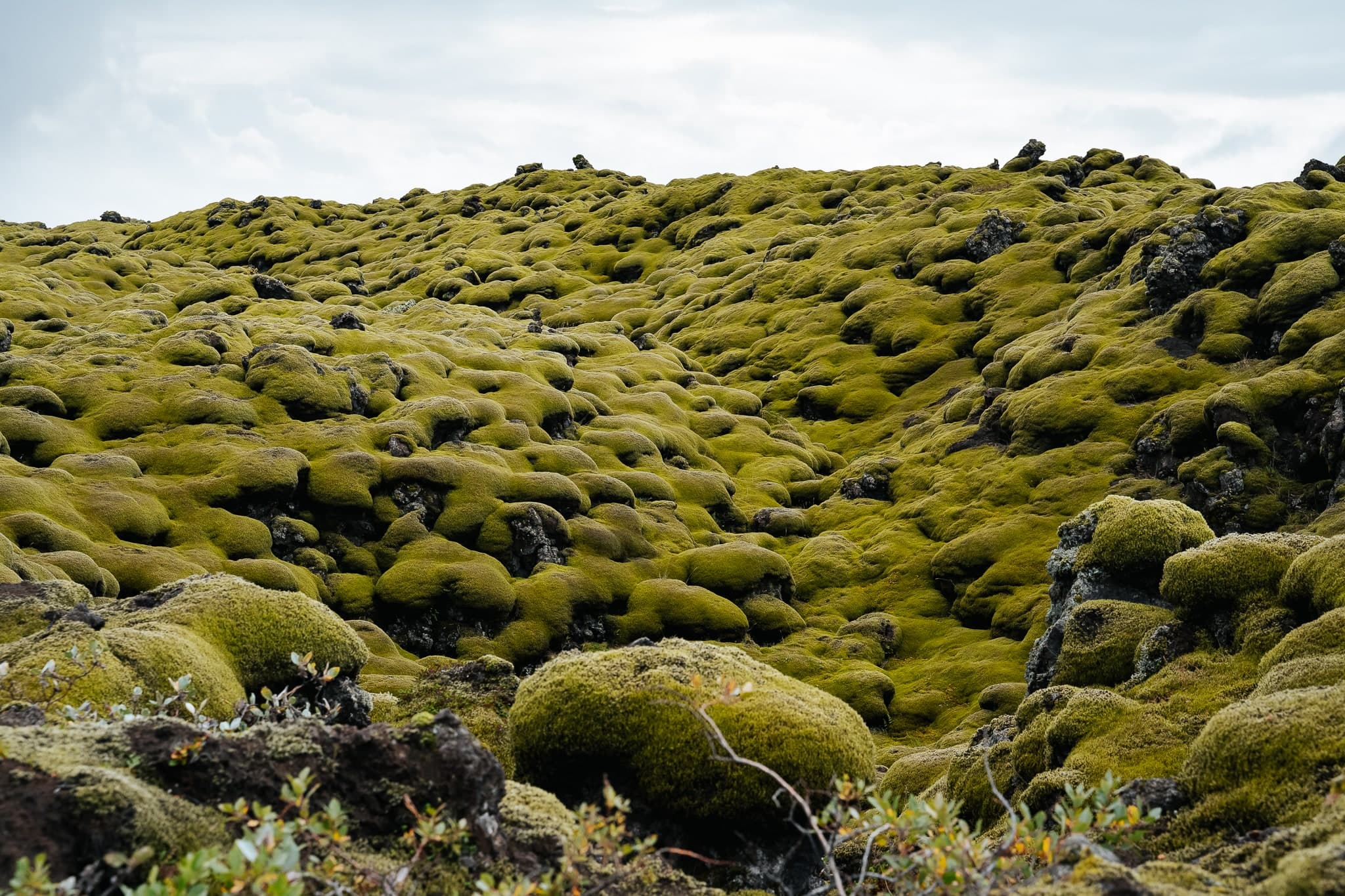 Iceland – 109. kép – Fülöp Péter fotográfus