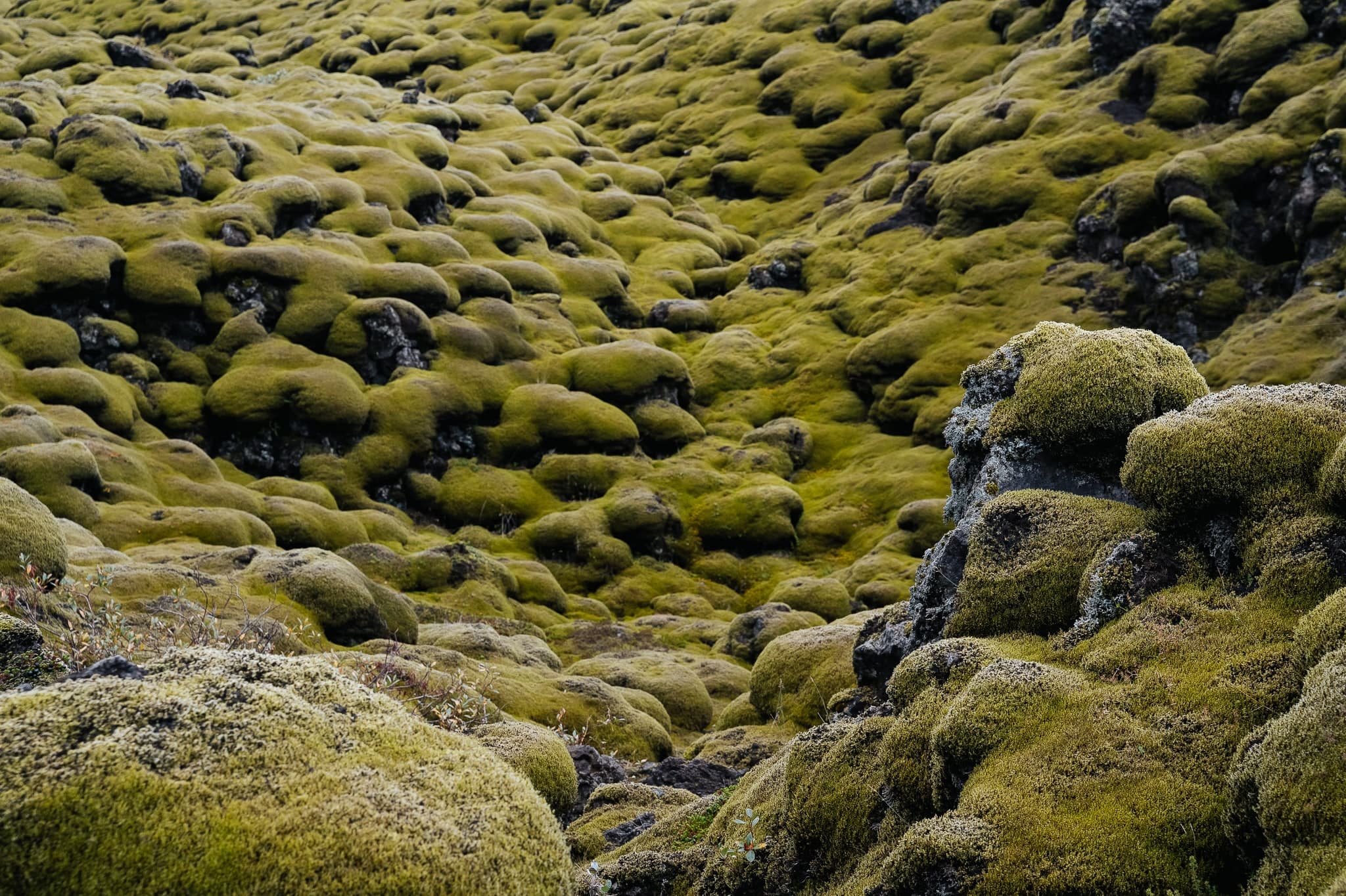 Iceland – 110. kép – Fülöp Péter fotográfus