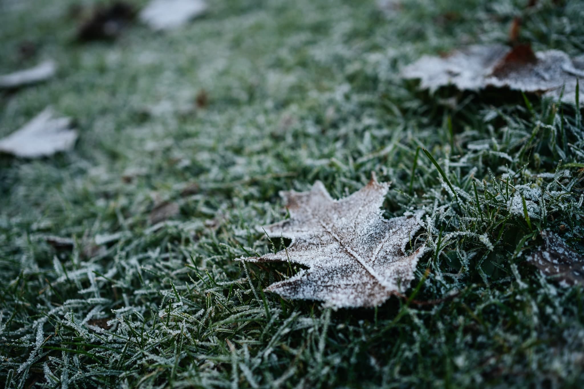 esküvői fotók – 109. kép – Fülöp Péter fotográfus