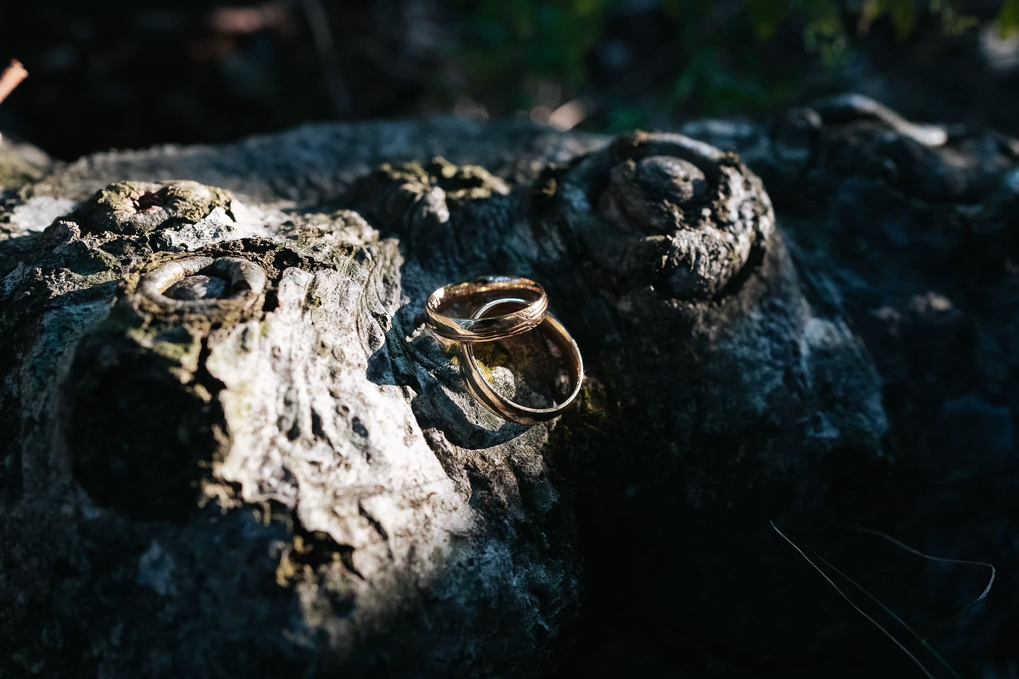 esküvői fotók – 365. kép – Fülöp Péter fotográfus