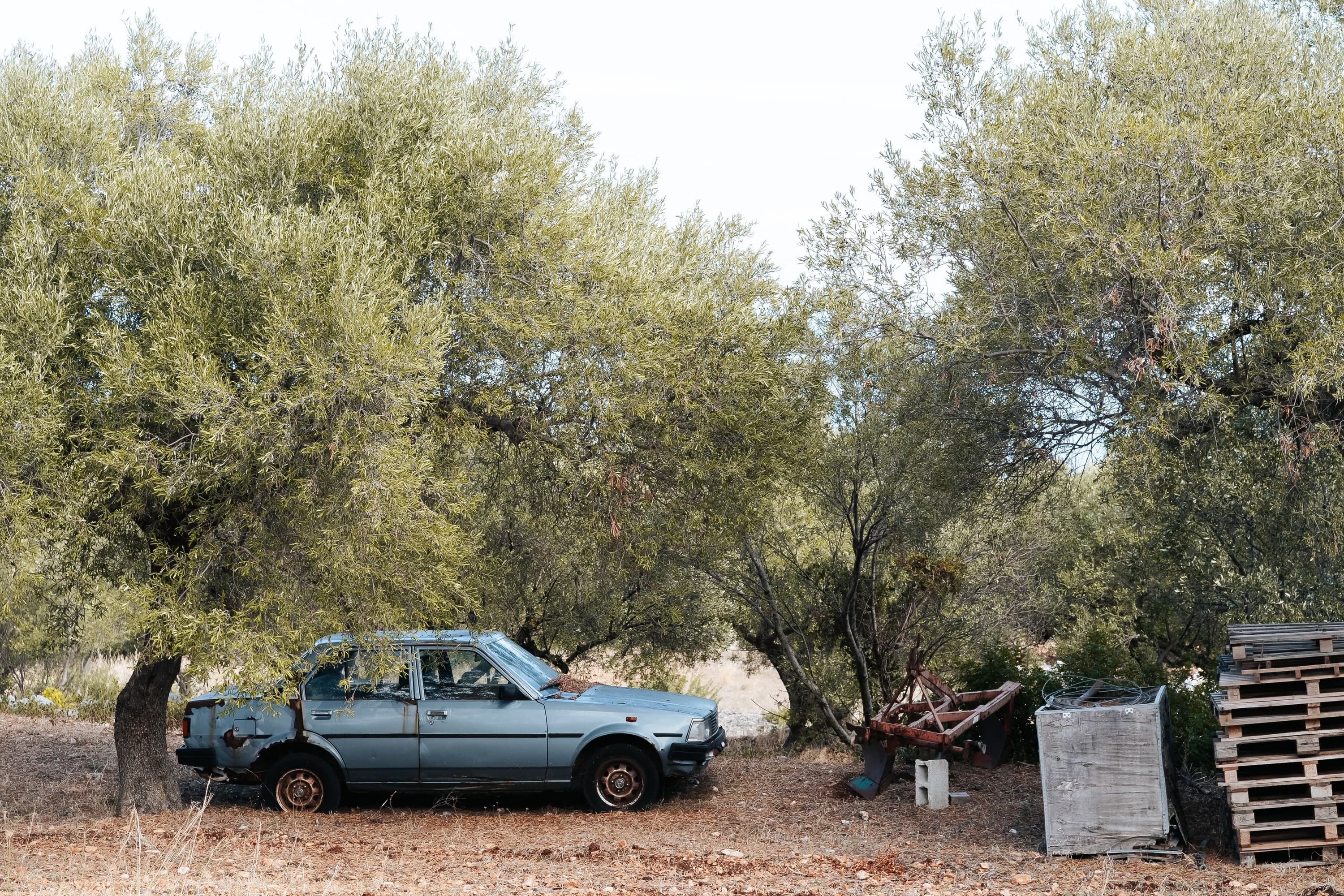 Zakynthos – 20. kép – Fülöp Péter fotográfus