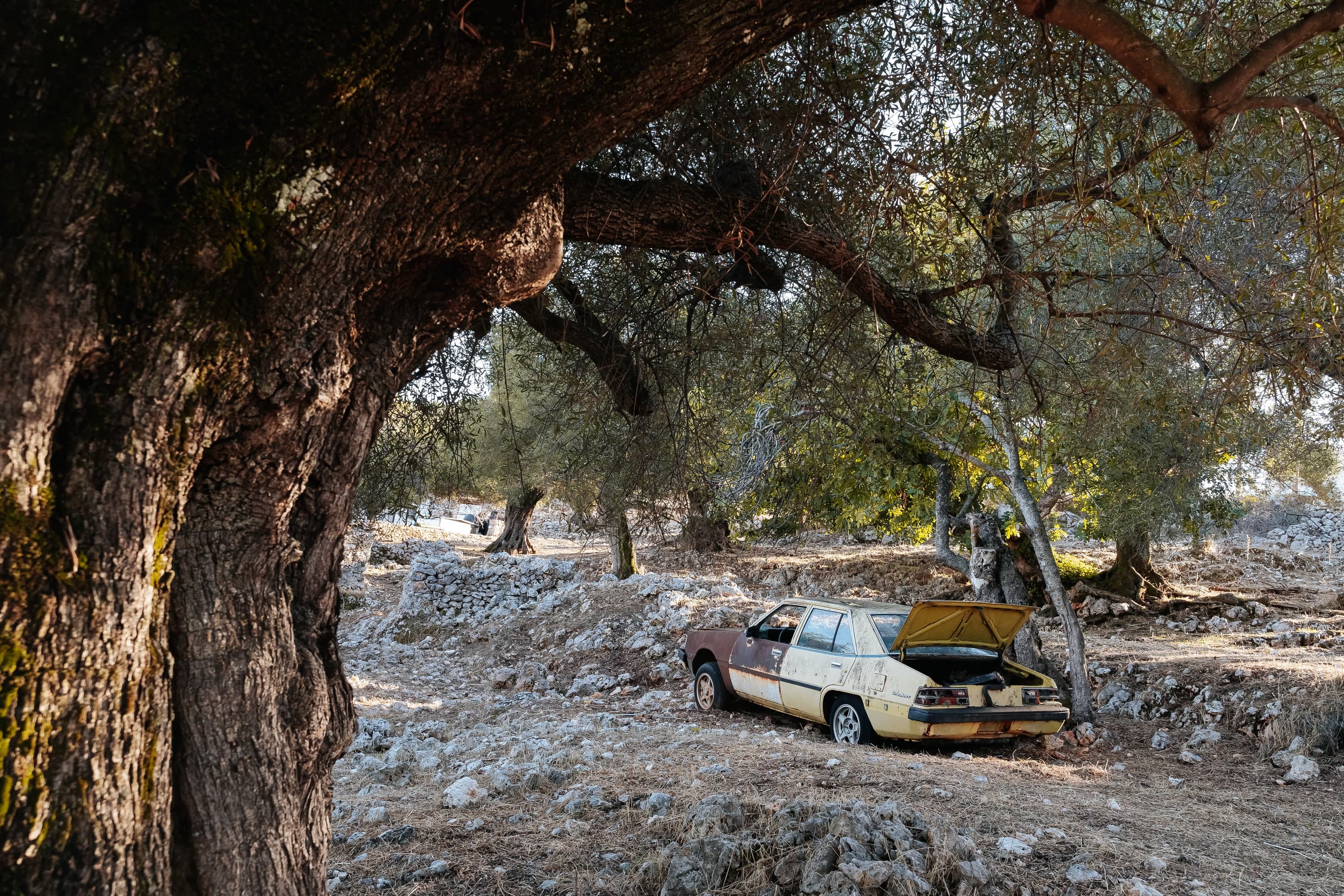 Zakynthos – 34. kép – Fülöp Péter fotográfus