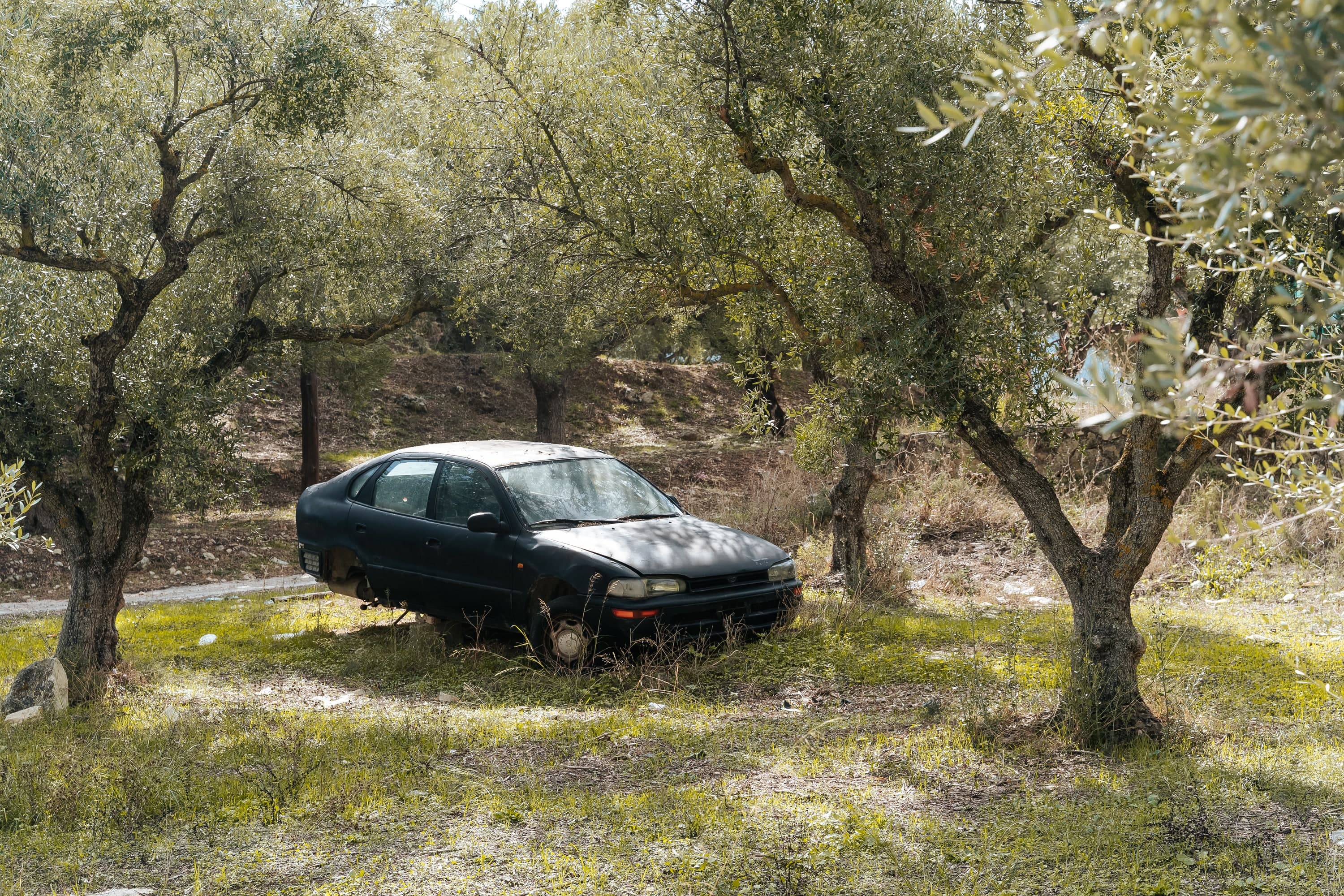 Zakynthos – 37. kép – Fülöp Péter fotográfus