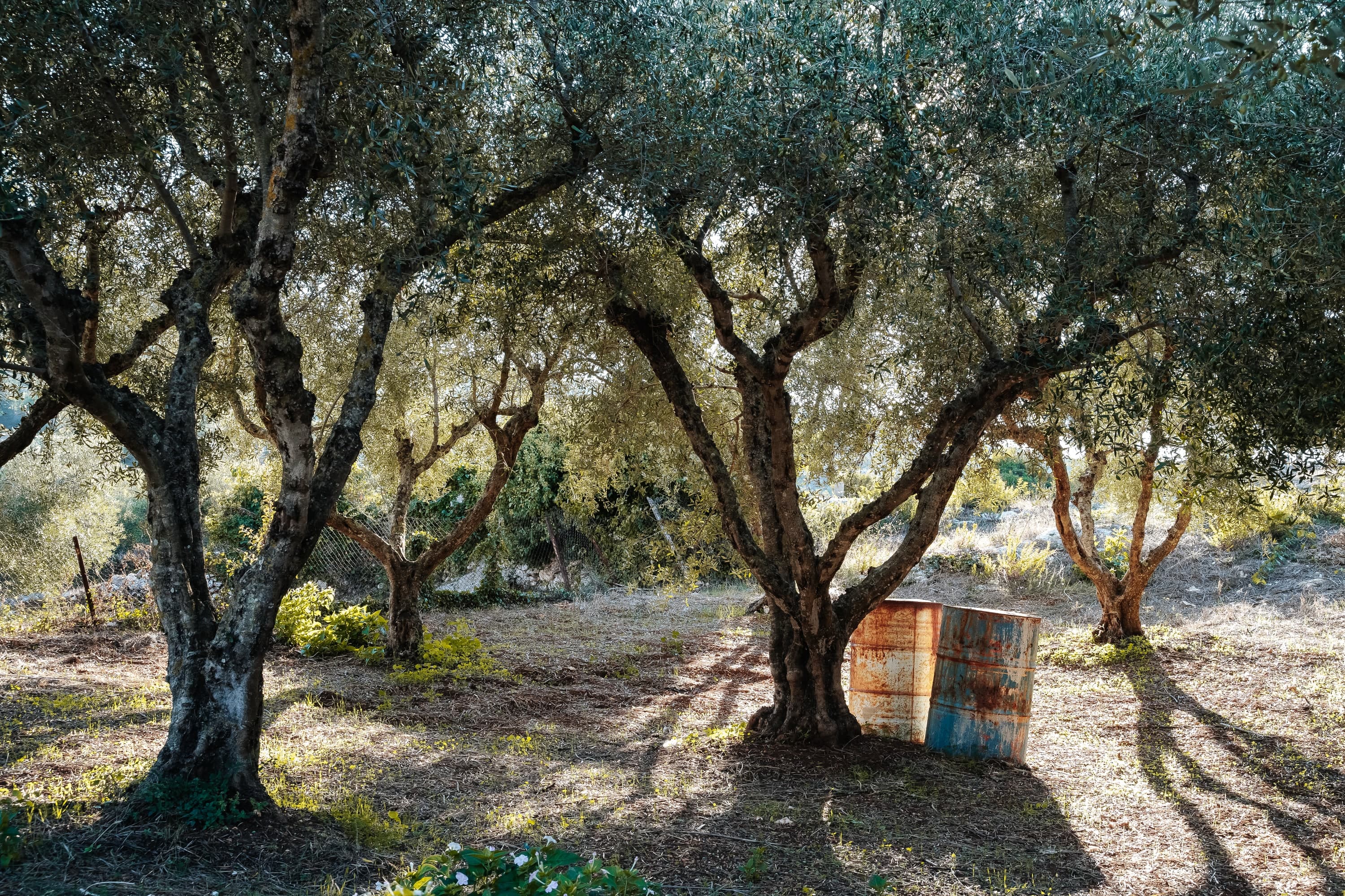 Zakynthos – 102. kép – Fülöp Péter fotográfus