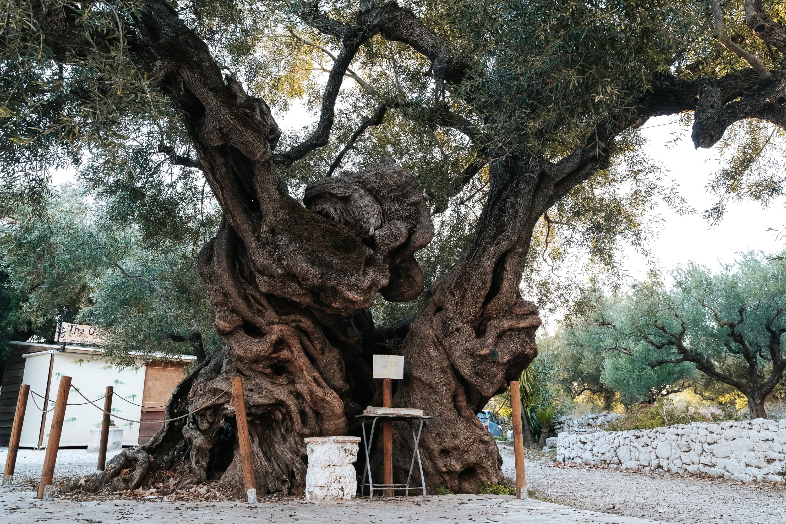 Zakynthos – 117. kép – Fülöp Péter fotográfus