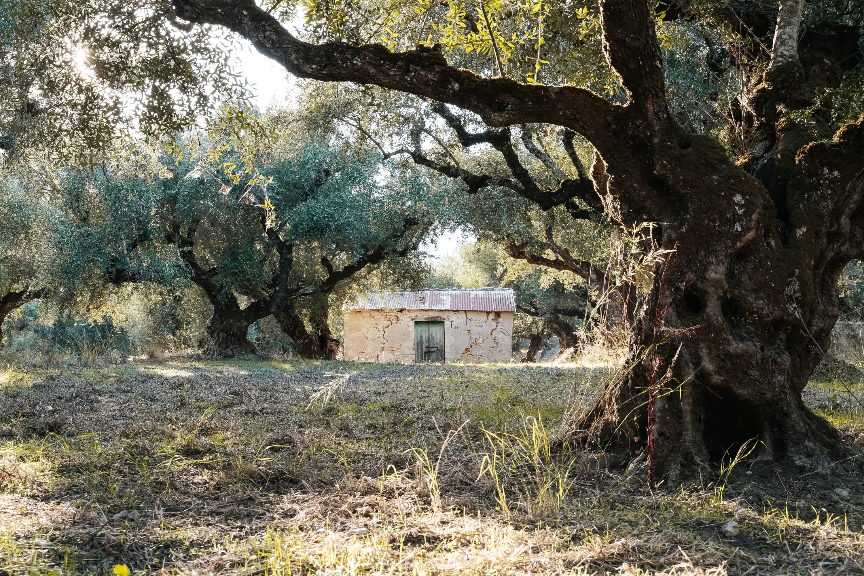 Zakynthos – 124. kép – Fülöp Péter fotográfus