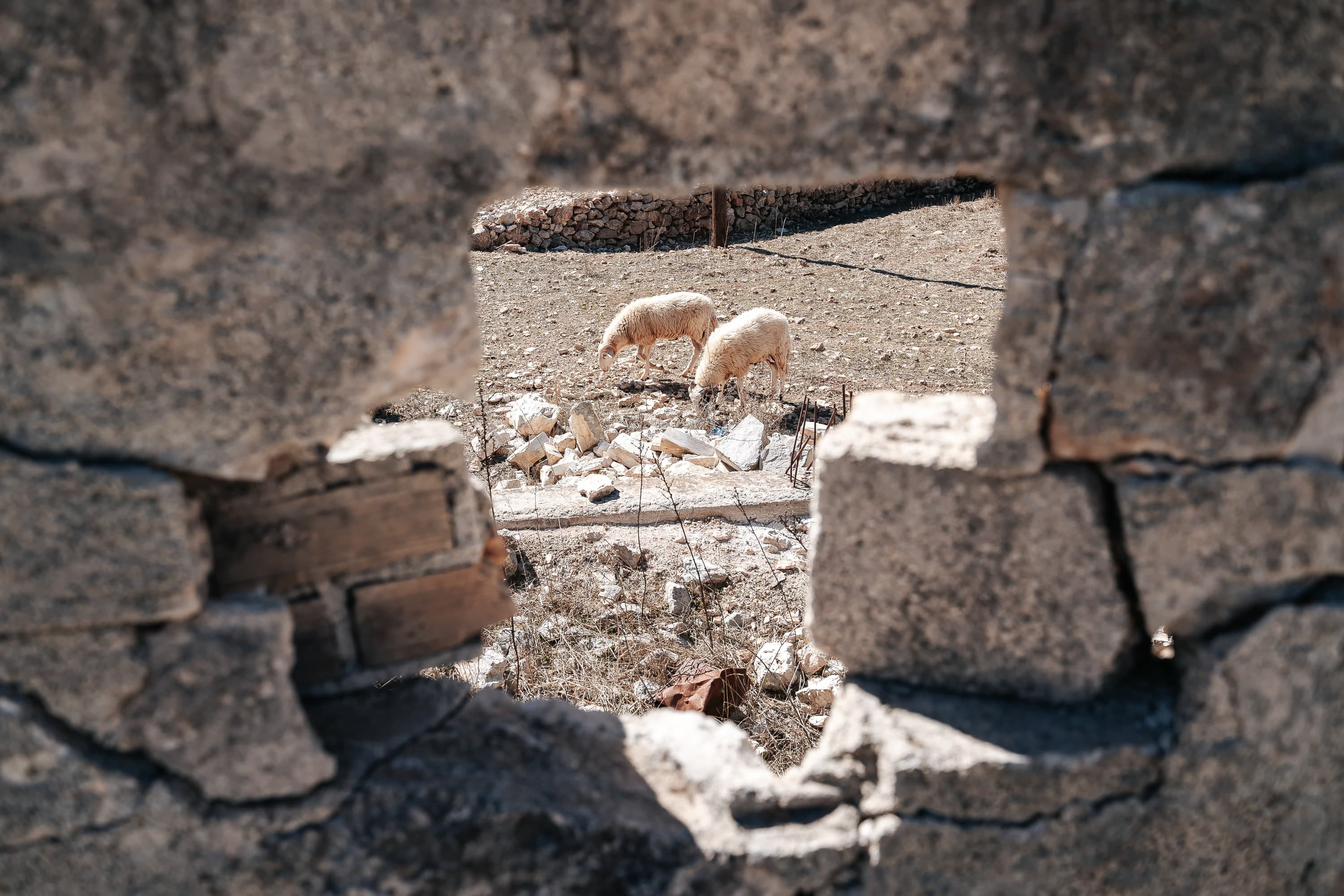 Zakynthos – 134. kép – Fülöp Péter fotográfus