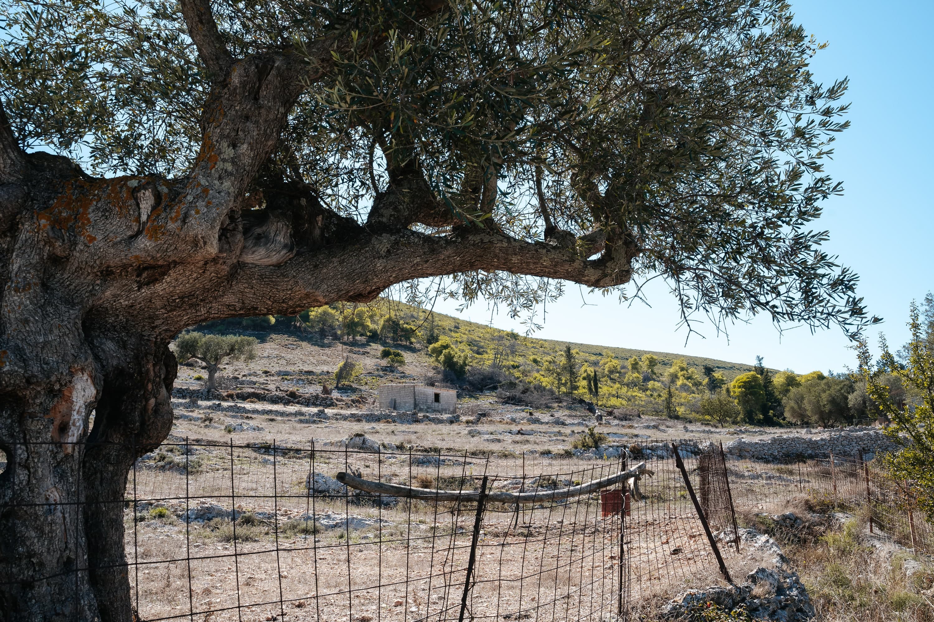 Zakynthos – 145. kép – Fülöp Péter fotográfus