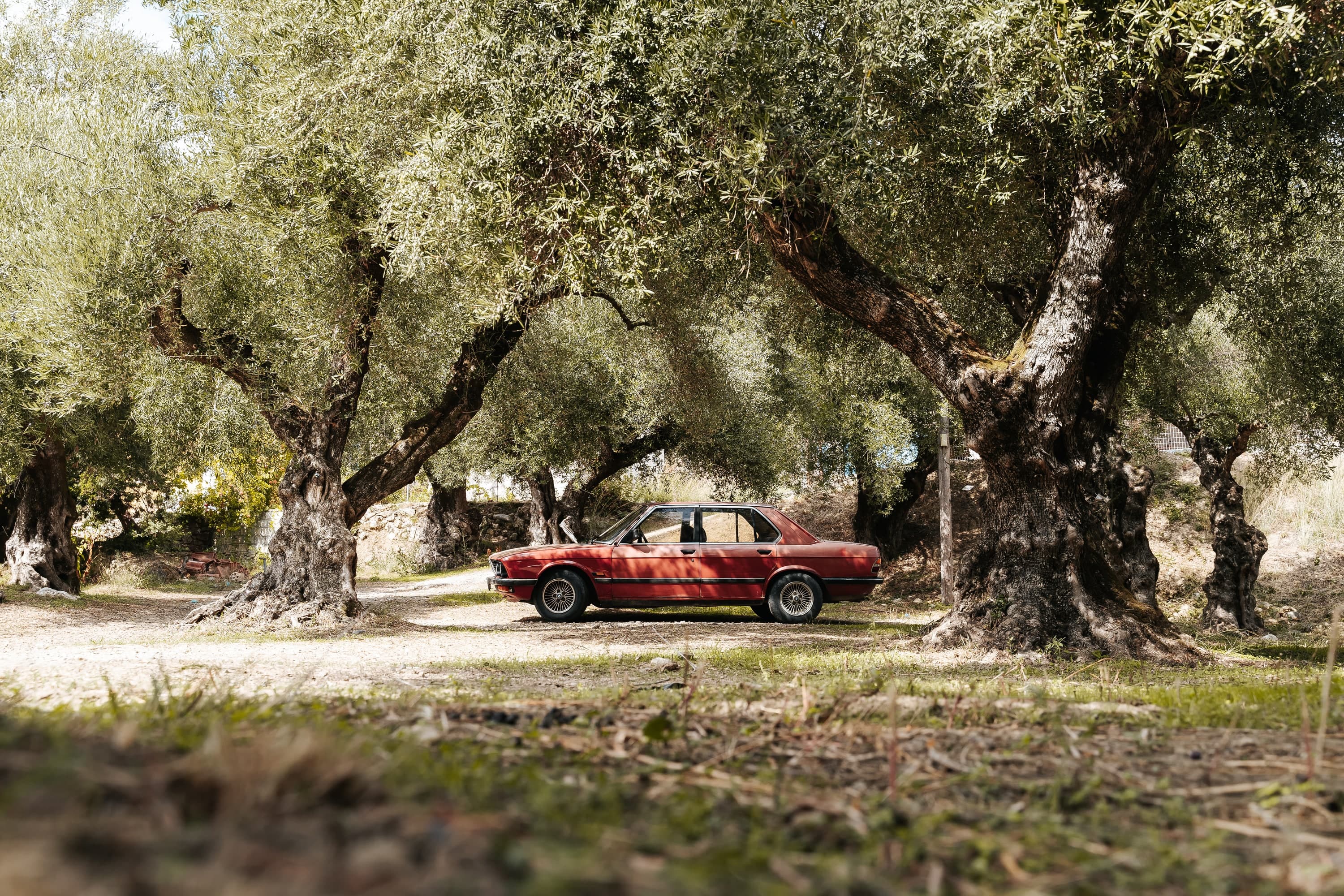 Zakynthos – 158. kép – Fülöp Péter fotográfus